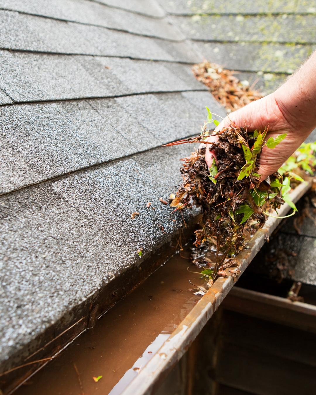 gutter cleaning
